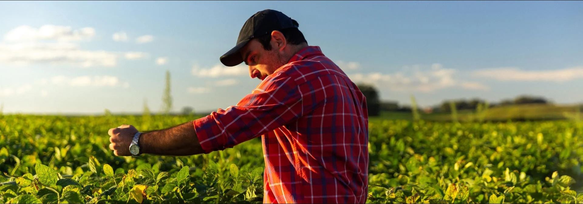 udržitelnost header